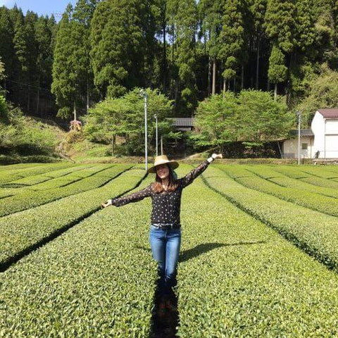 Theesommelier Linda op Japanse theeplantage tussen de theestruiken